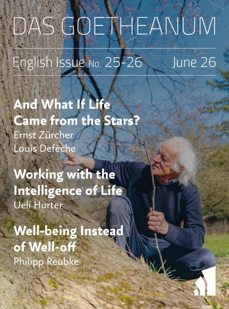And What If Life Came from the Stars?